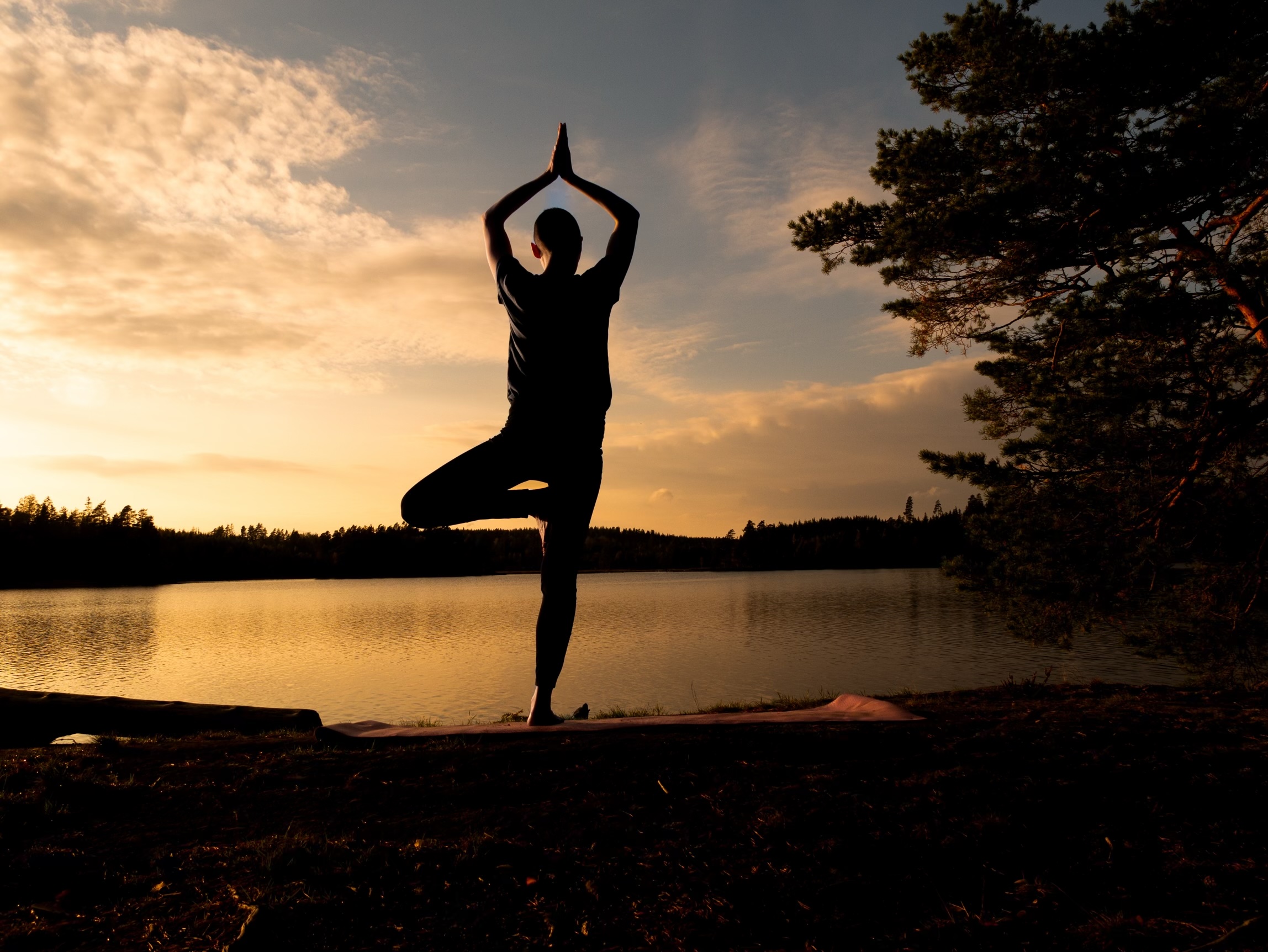 Frau steht in der Baum-Yoga-Pose an einem See, sie ist von hinten zu sehen, vor ihr ist der Sonnenaufgang zu sehen